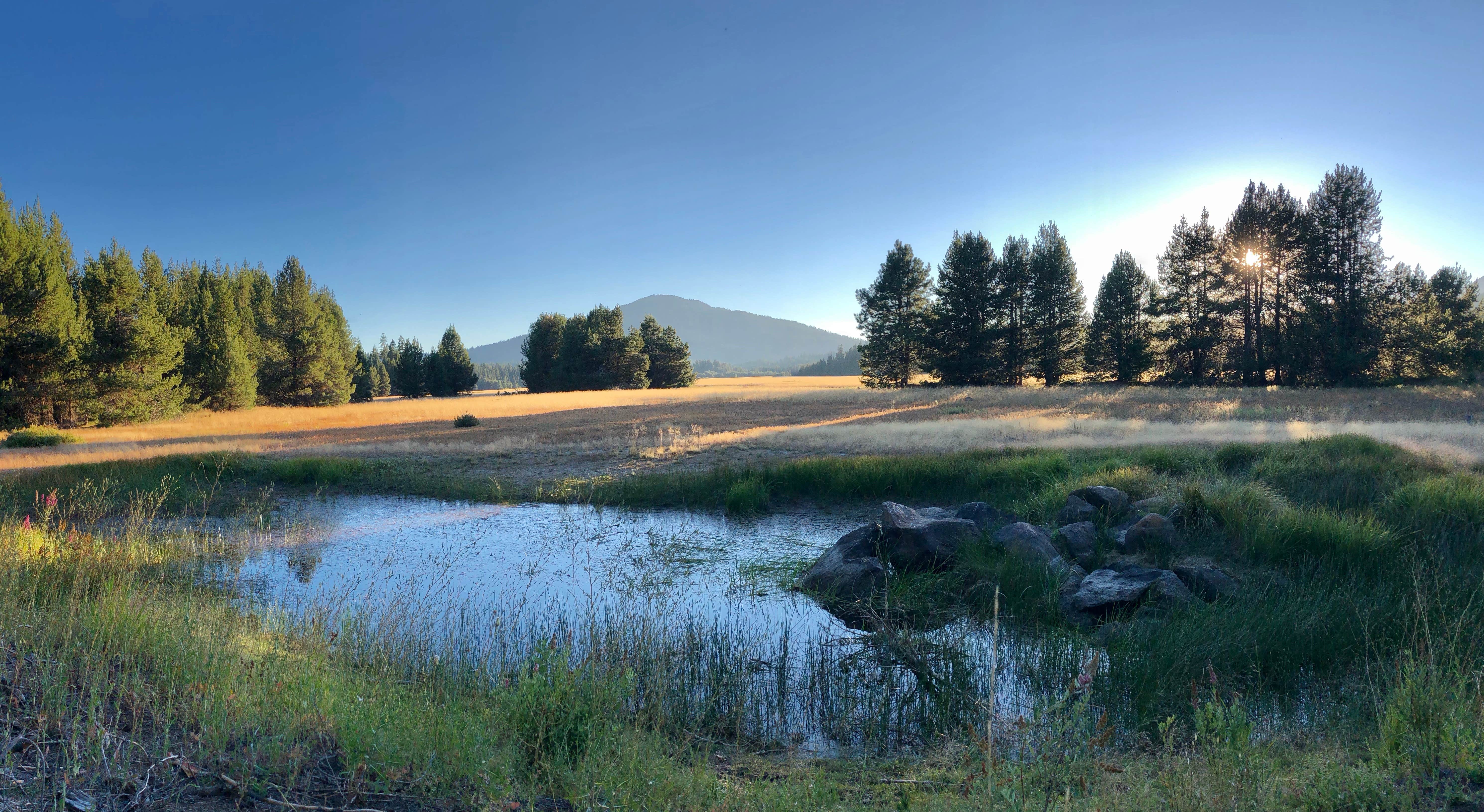 Camper-submitted photo at Great Meadow Sno-Park near Klamath Falls, OR