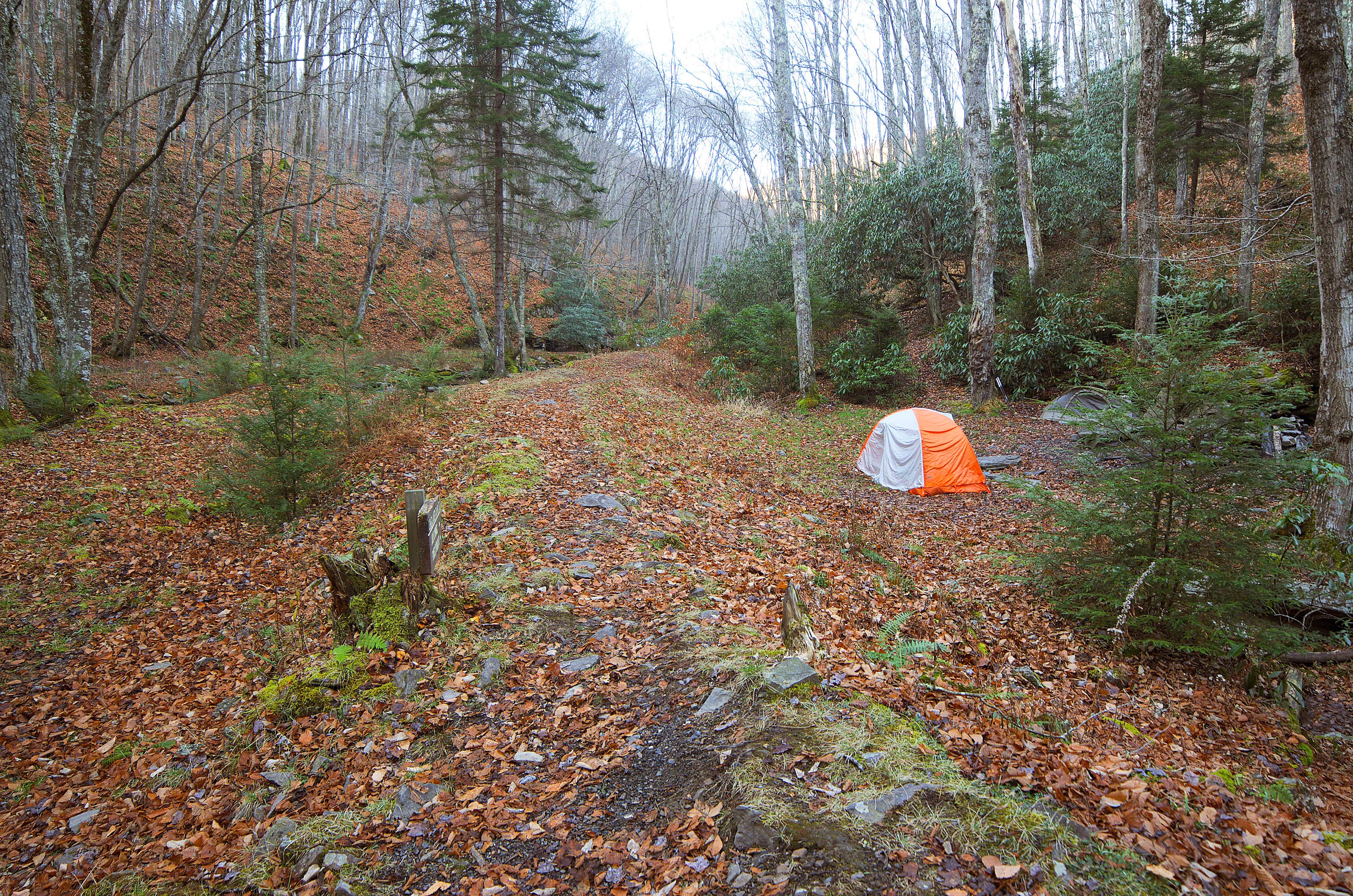 Jon C.'s photo at Judy Springs Campground near Glady, WV