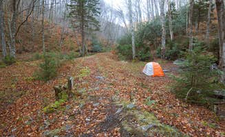 Jon C.'s photo at Judy Springs Campground near Seneca Rocks, WV