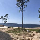 Review photo of Toledo Bend Marina by Lori H., November 14, 2020