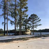 Review photo of Toledo Bend Marina by Lori H., November 14, 2020