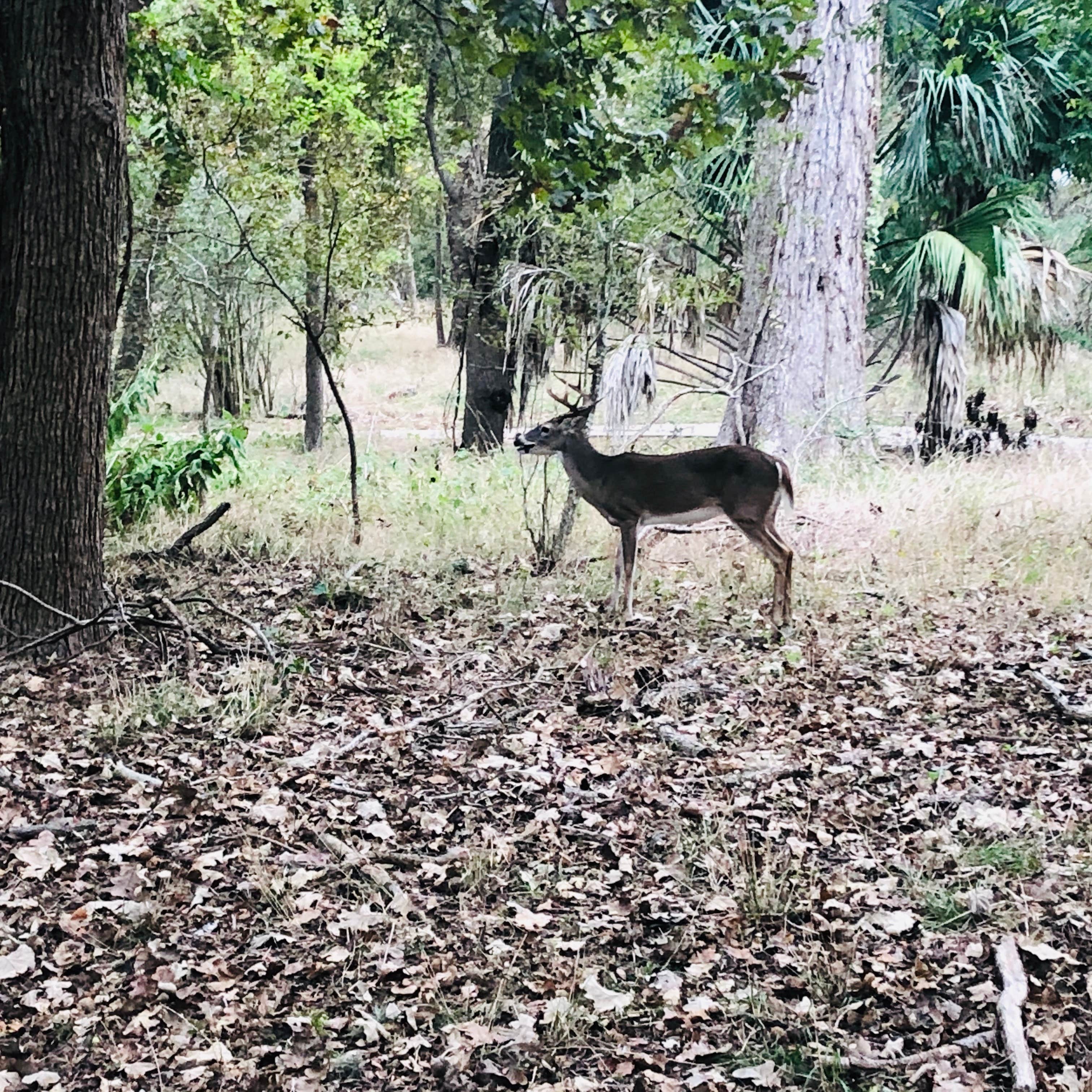 Camper-submitted photo at Victoria City RV Park near Edna, TX