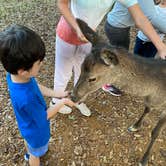 Review photo of Paradise Ranch RV Resort by Abraham H., November 14, 2020
