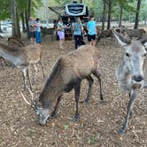 Review photo of Paradise Ranch RV Resort by Abraham H., November 14, 2020