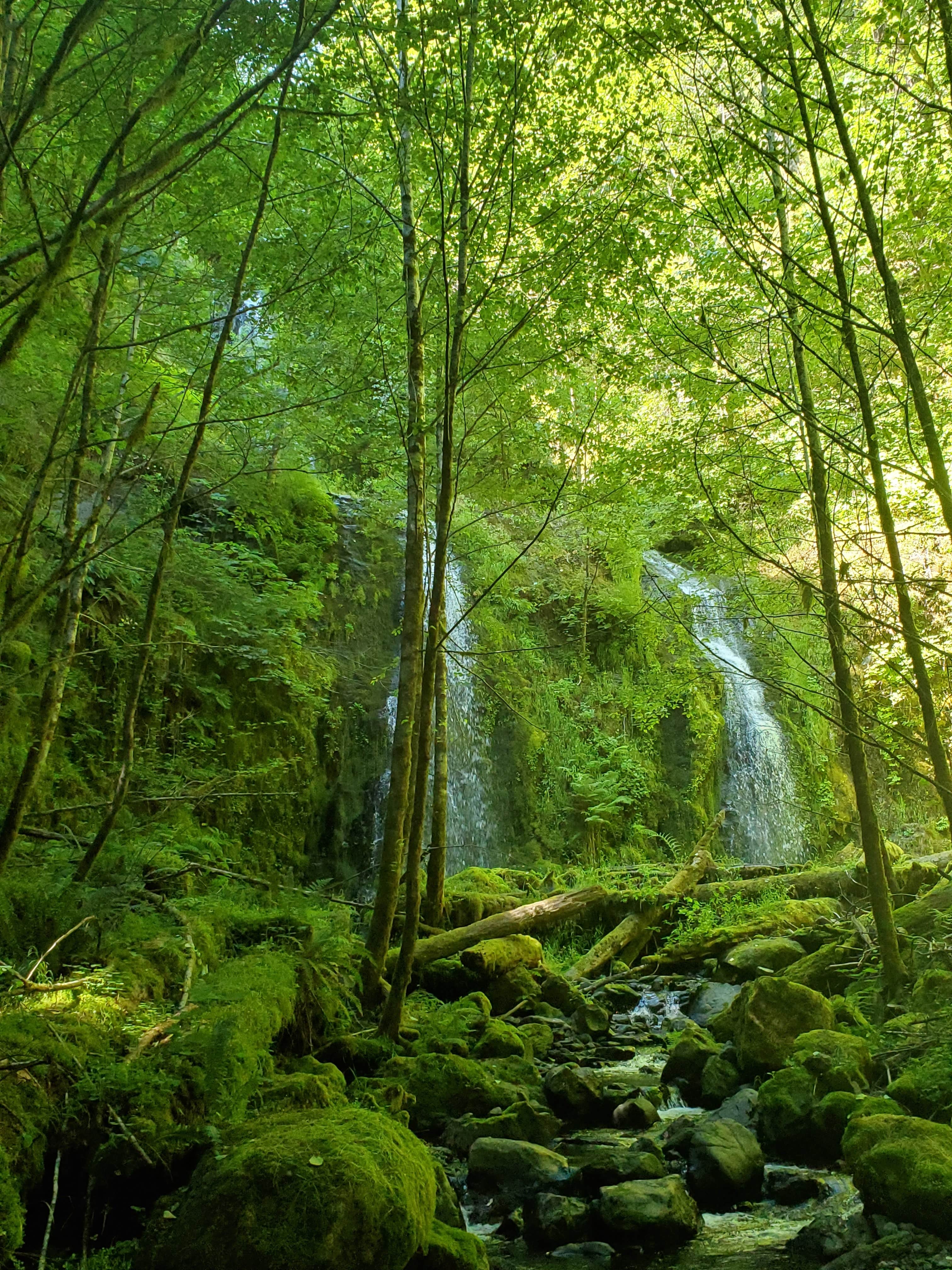 Camper-submitted photo at Tillamook State Forest Jordan Creek OHV Campground & Staging Area near Gales Creek, OR