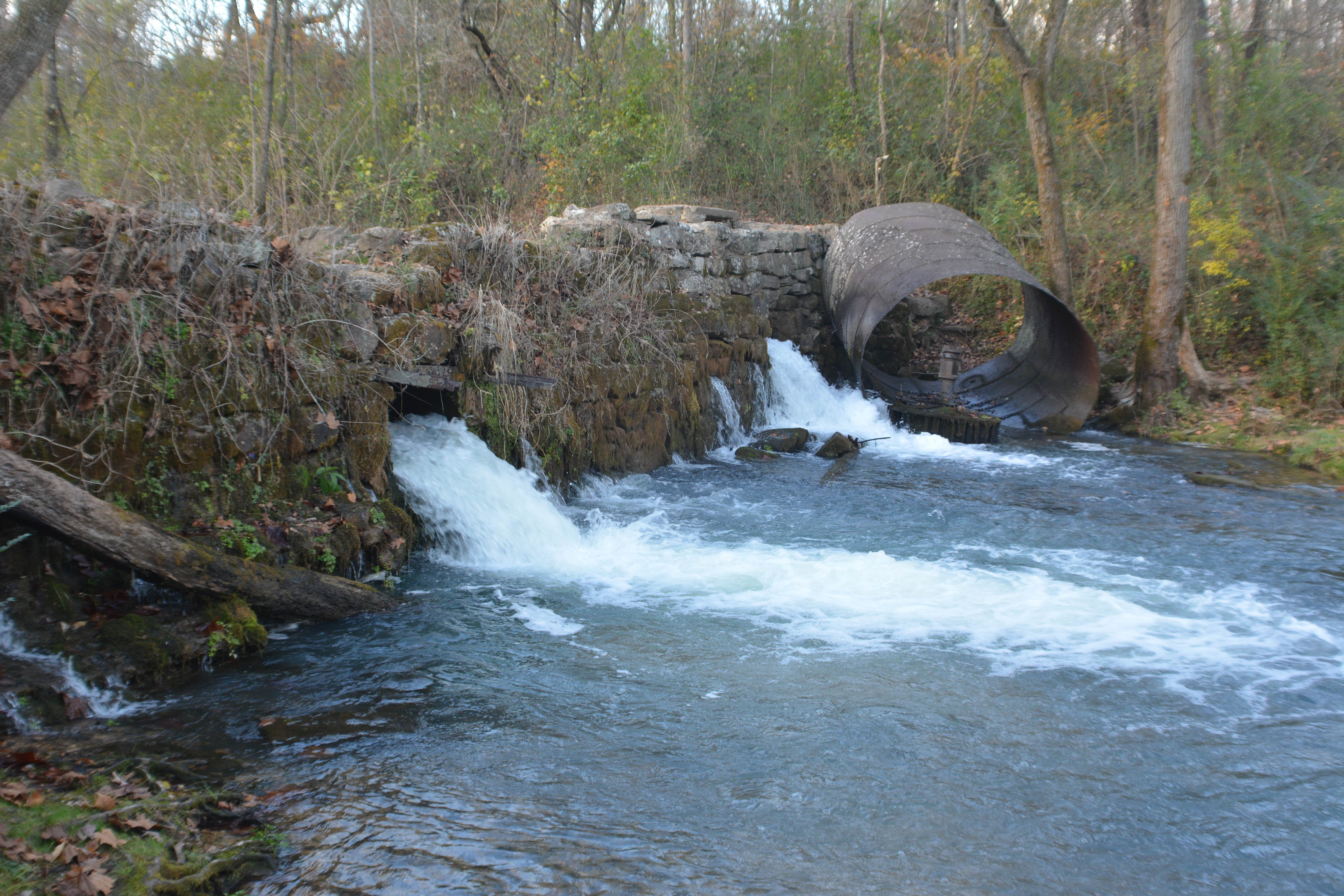 Camper-submitted photo at Boze Mill Float Camp in Missouri