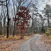 Review photo of Harrisonburg - Shenandoah Valley KOA by Sara R., November 14, 2020