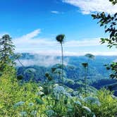 Review photo of Siuslaw National Forest Dispersed Camping by Ariel & John  W., November 14, 2020