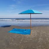 Review photo of Skidaway Island State Park Campground by L O., November 14, 2020