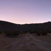 Review photo of Blair Valley Primitive Campground — Anza-Borrego Desert State Park by Brittany K., November 15, 2020