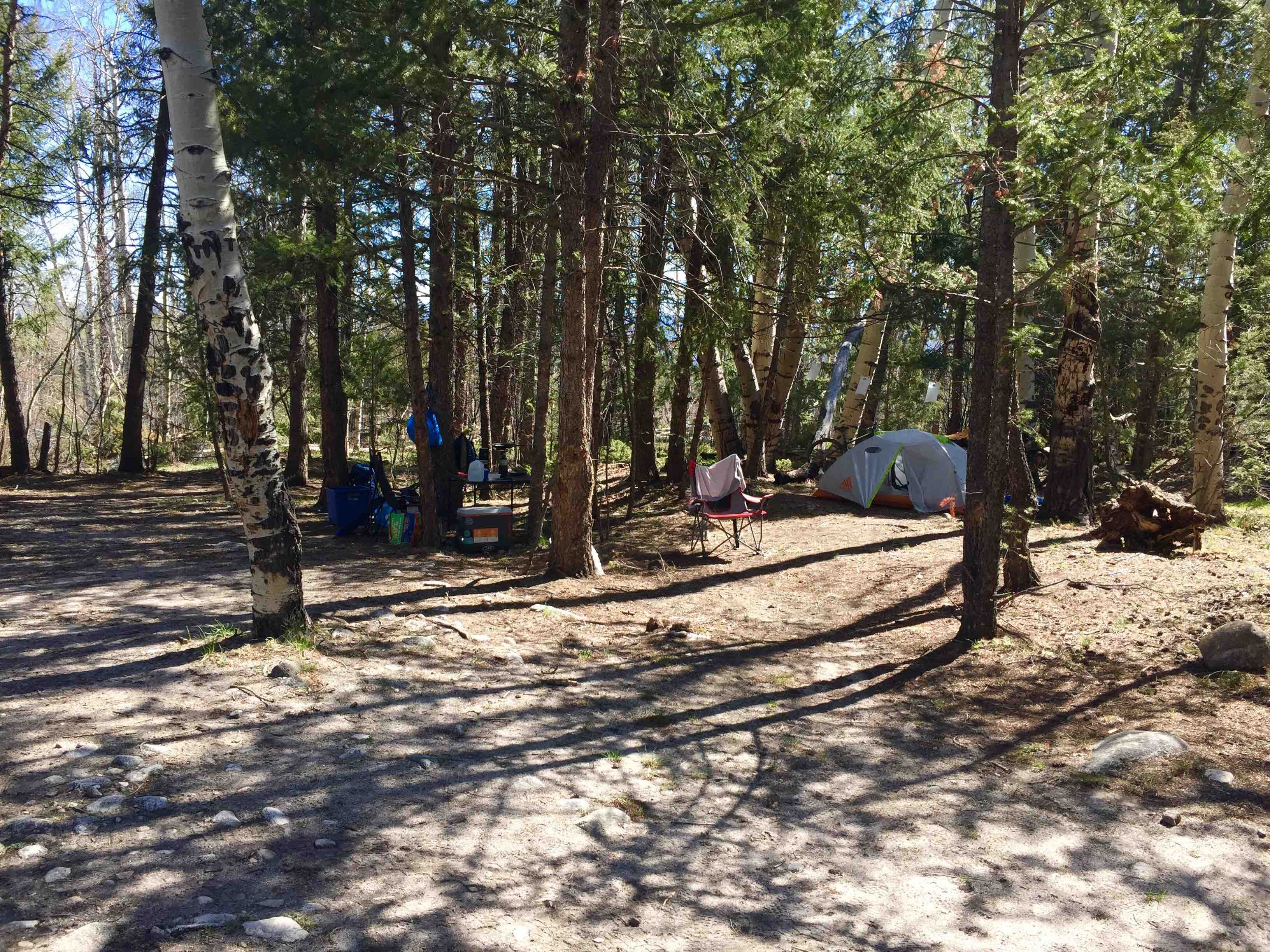 Camper submitted image from Browns Creek - 2