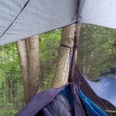 Review photo of Little River State Park Campground by Miccal  M., November 15, 2020