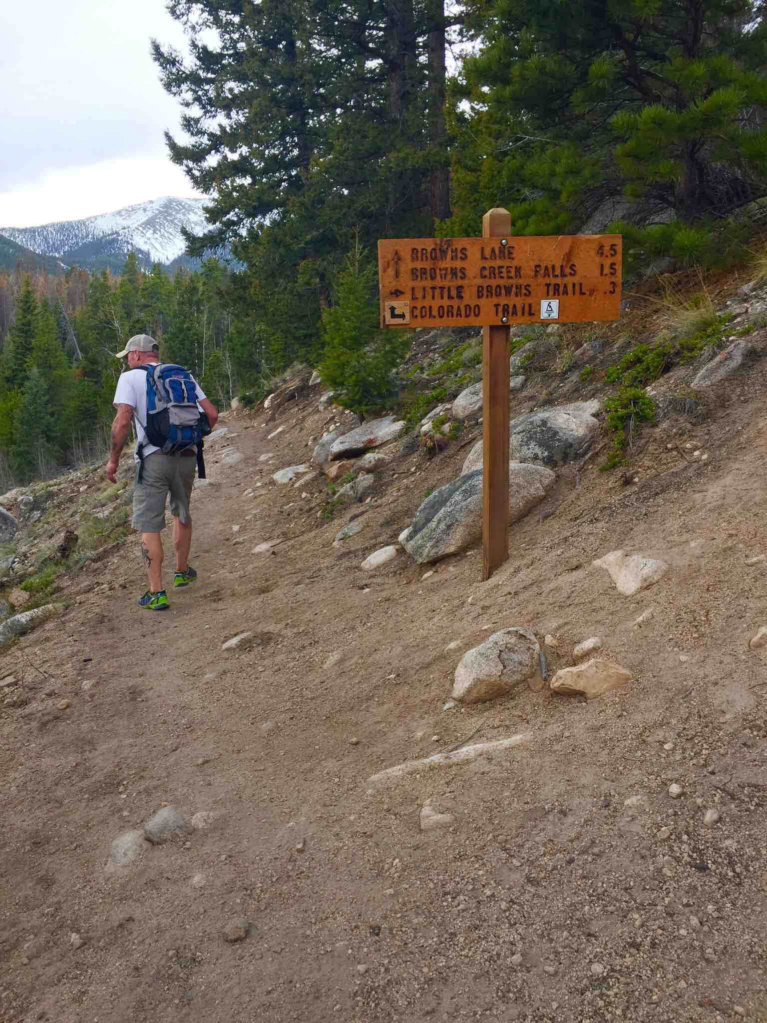 Camper submitted image from Browns Creek - 4