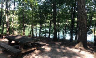 Elizabeth W.'s photo at Lake Russell Recreation Area near Clarkesville, GA