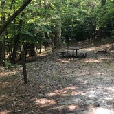 Review photo of Lake Russell Recreation Area by Elizabeth W., November 15, 2020
