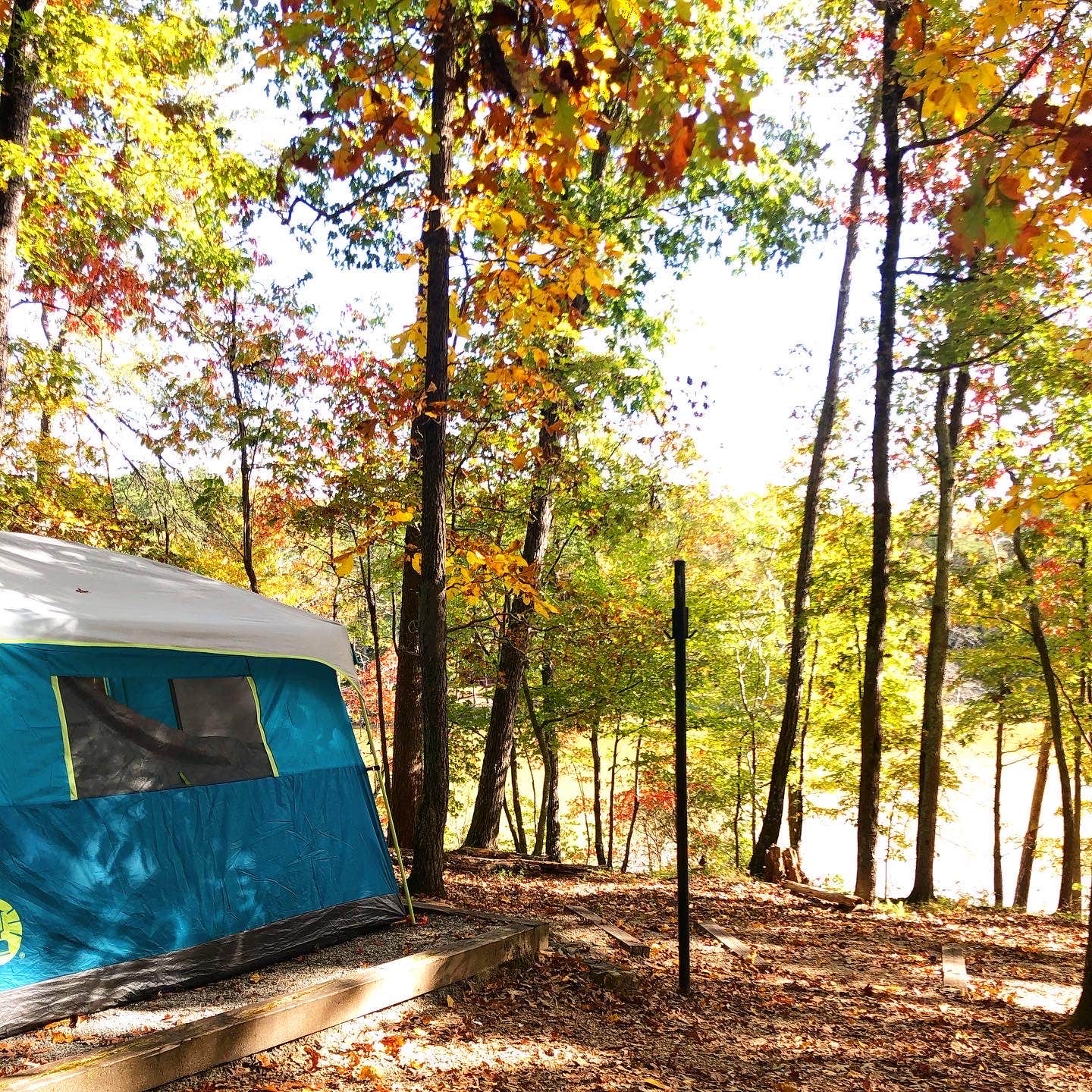 Elizabeth W.'s photo at Lake Russell Recreation Area near Toccoa, GA