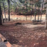 Review photo of Red Top Mountain State Park Campground by Elizabeth W., November 15, 2020