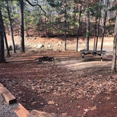 Review photo of Red Top Mountain State Park Campground by Elizabeth W., November 15, 2020