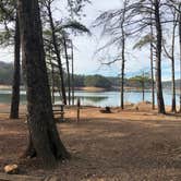 Review photo of Red Top Mountain State Park Campground by Elizabeth W., November 15, 2020