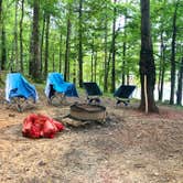 Review photo of Red Top Mountain State Park Campground by Elizabeth W., November 15, 2020