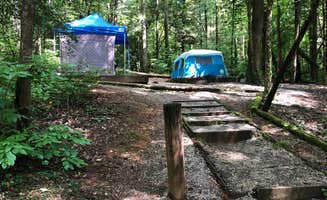 Elizabeth W.'s photo at Desoto Falls Recreation Area near Chattahoochee-Oconee National Forests