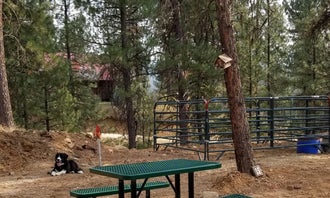 Camping near Grayback: Cowboy Campground, Idaho City, Idaho