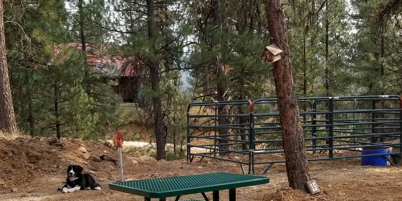 Camper submitted image from Cowboy Campground