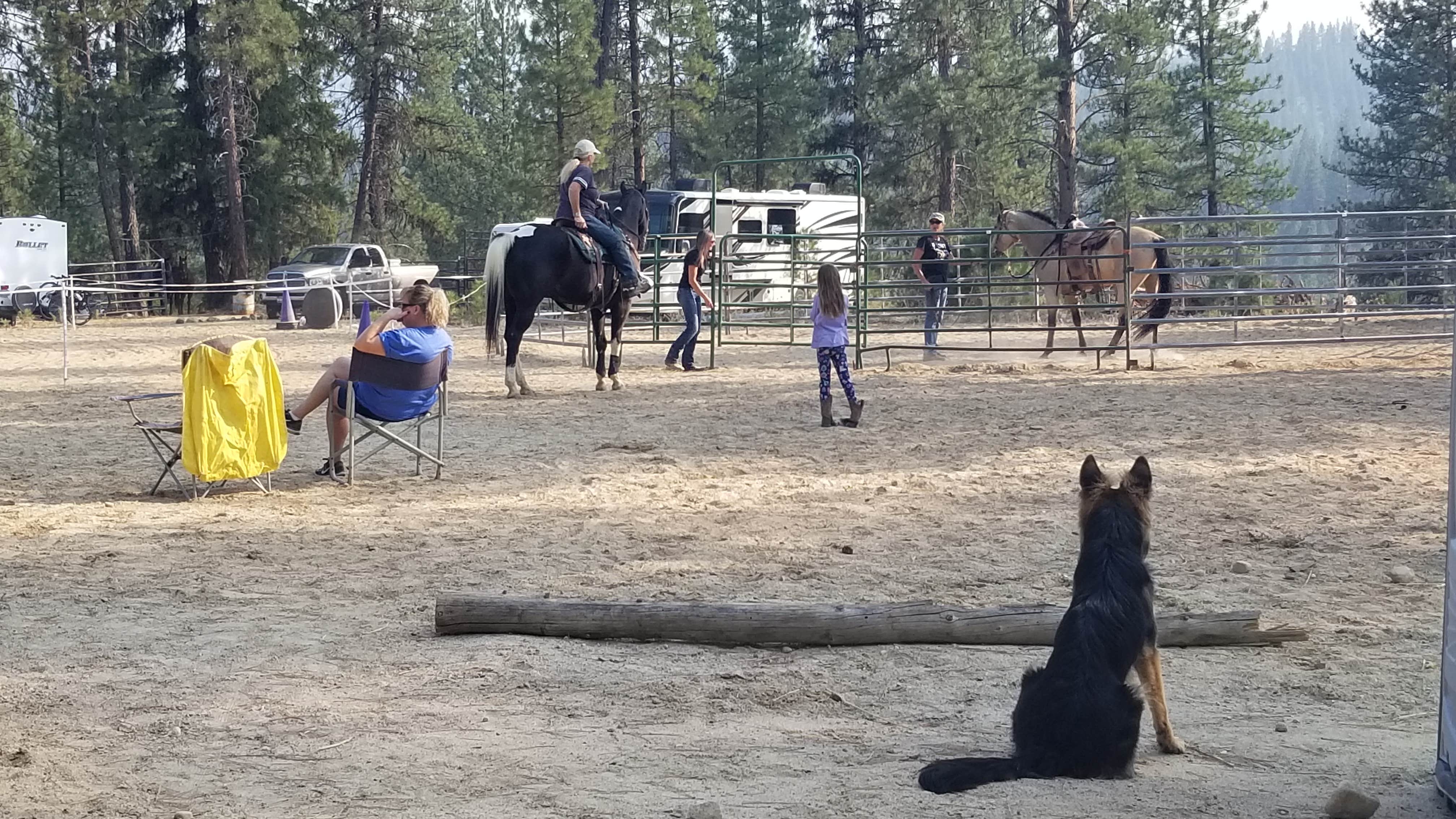 Sabrina A.'s photo of camping with pets at Cowboy Campground near Boise, ID