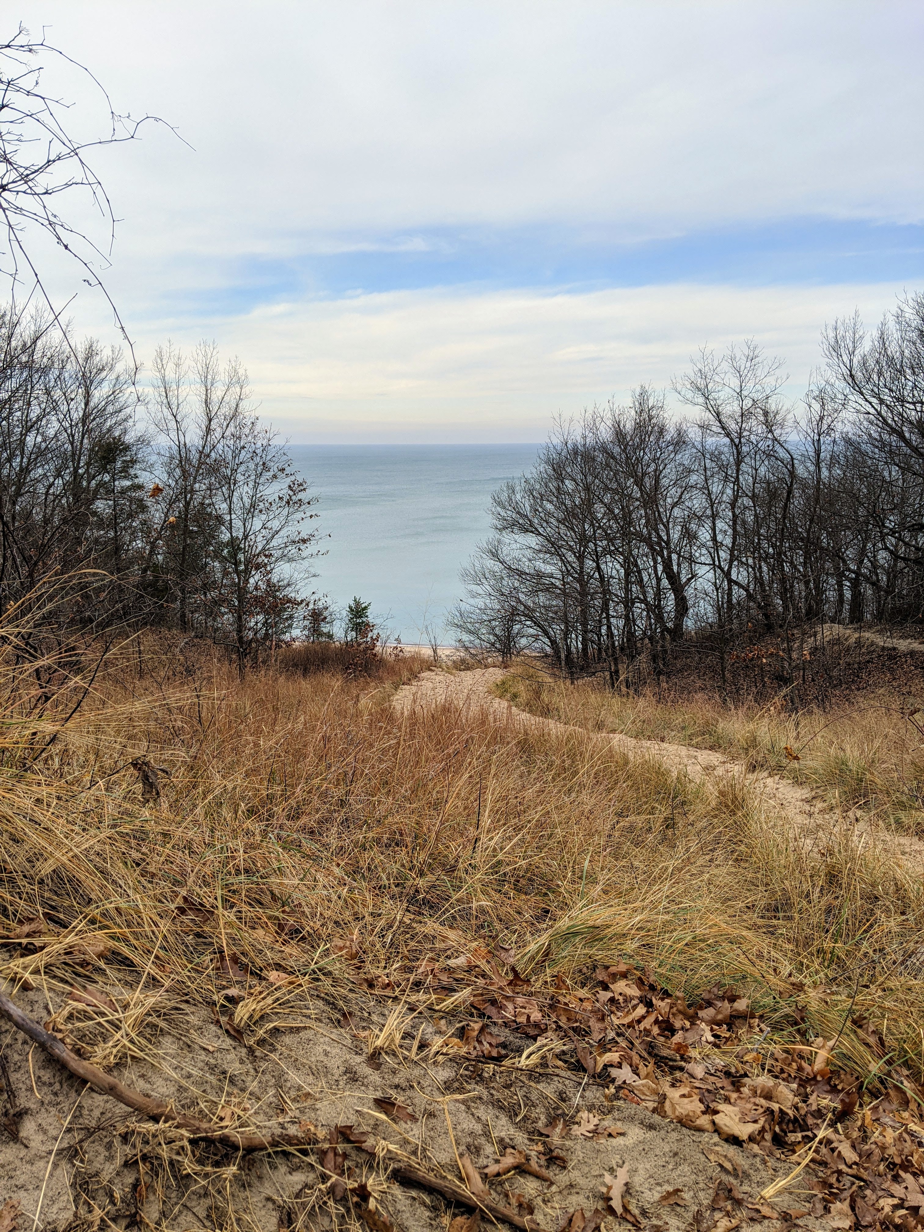 HIke out on the dune trails to see views of Lake Michigan. This is shot from Trail 8, along the 3-Dune Challenge trails.