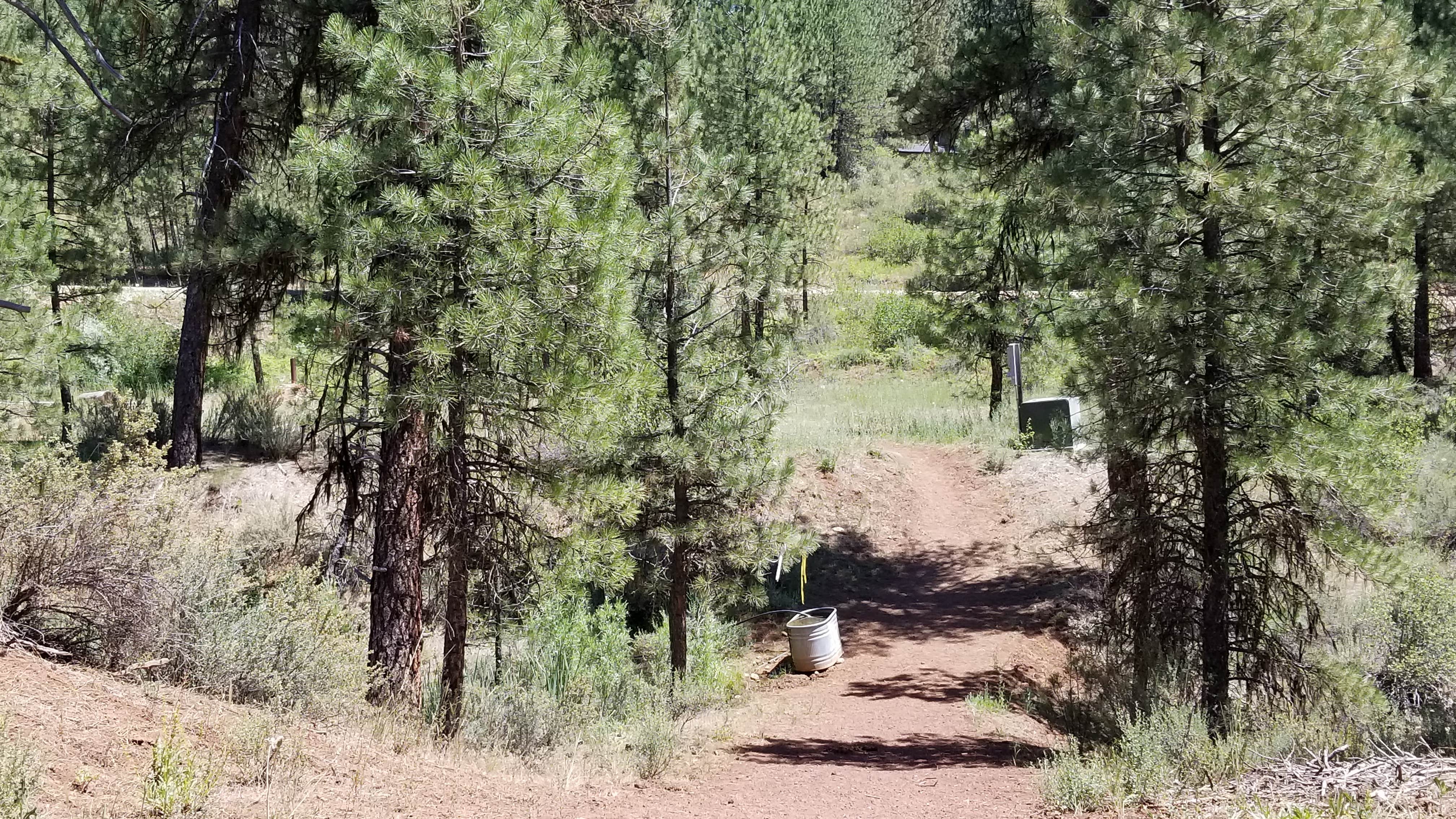 Camper submitted image from Cowboy Campground - 2