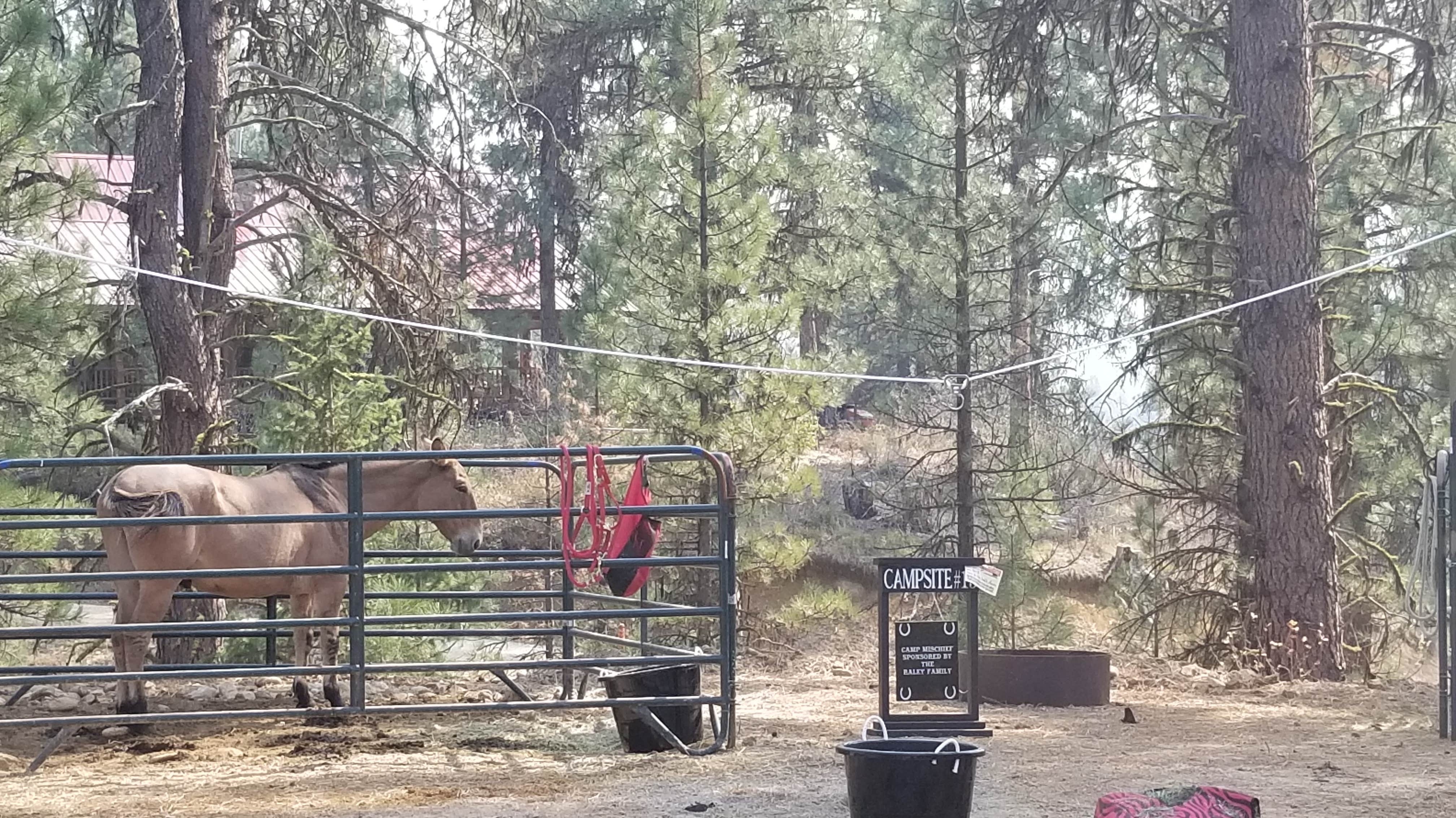 Camper-submitted photo at Cowboy Campground near Idaho City, ID