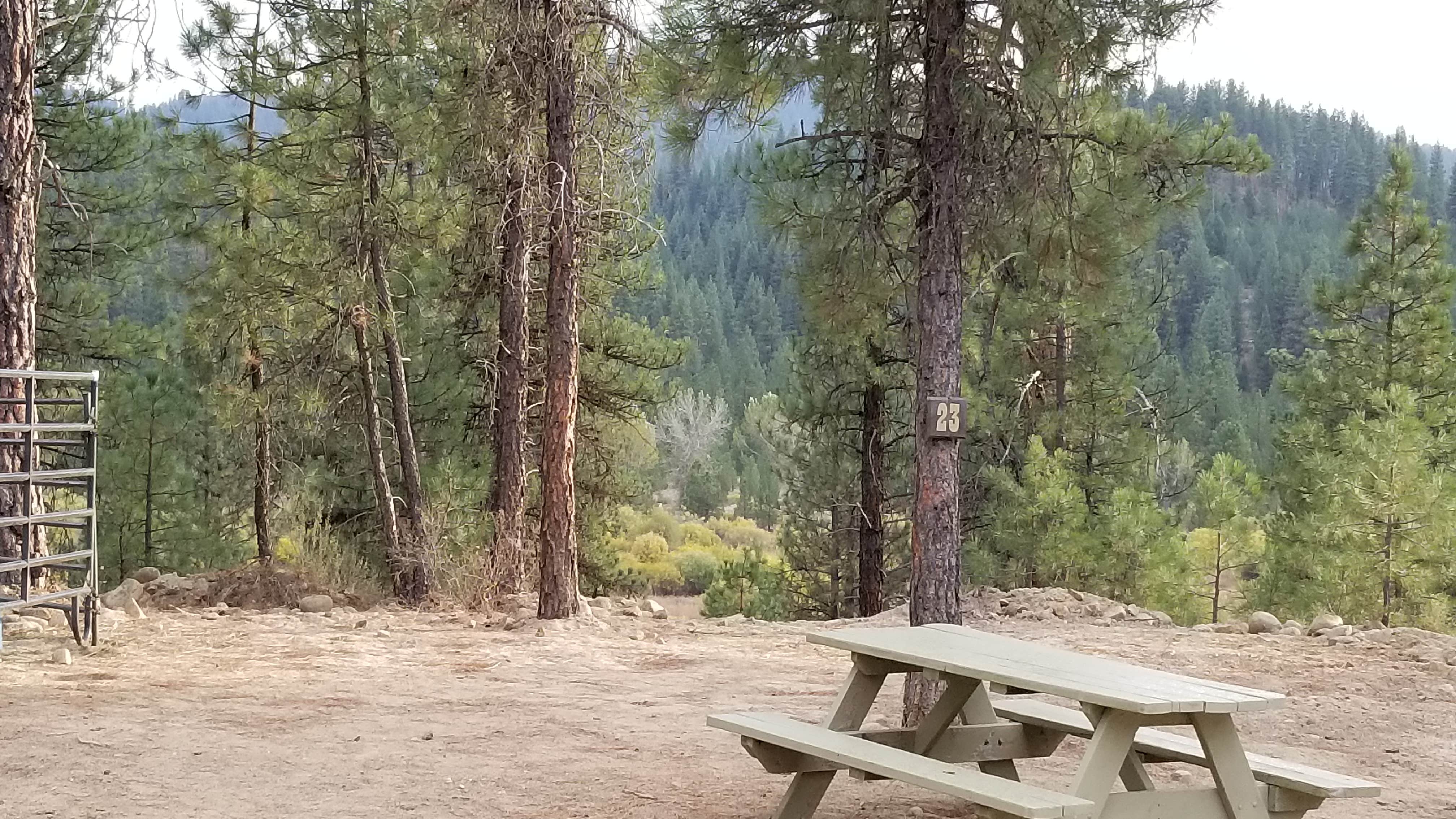 Camper submitted image from Cowboy Campground - 3