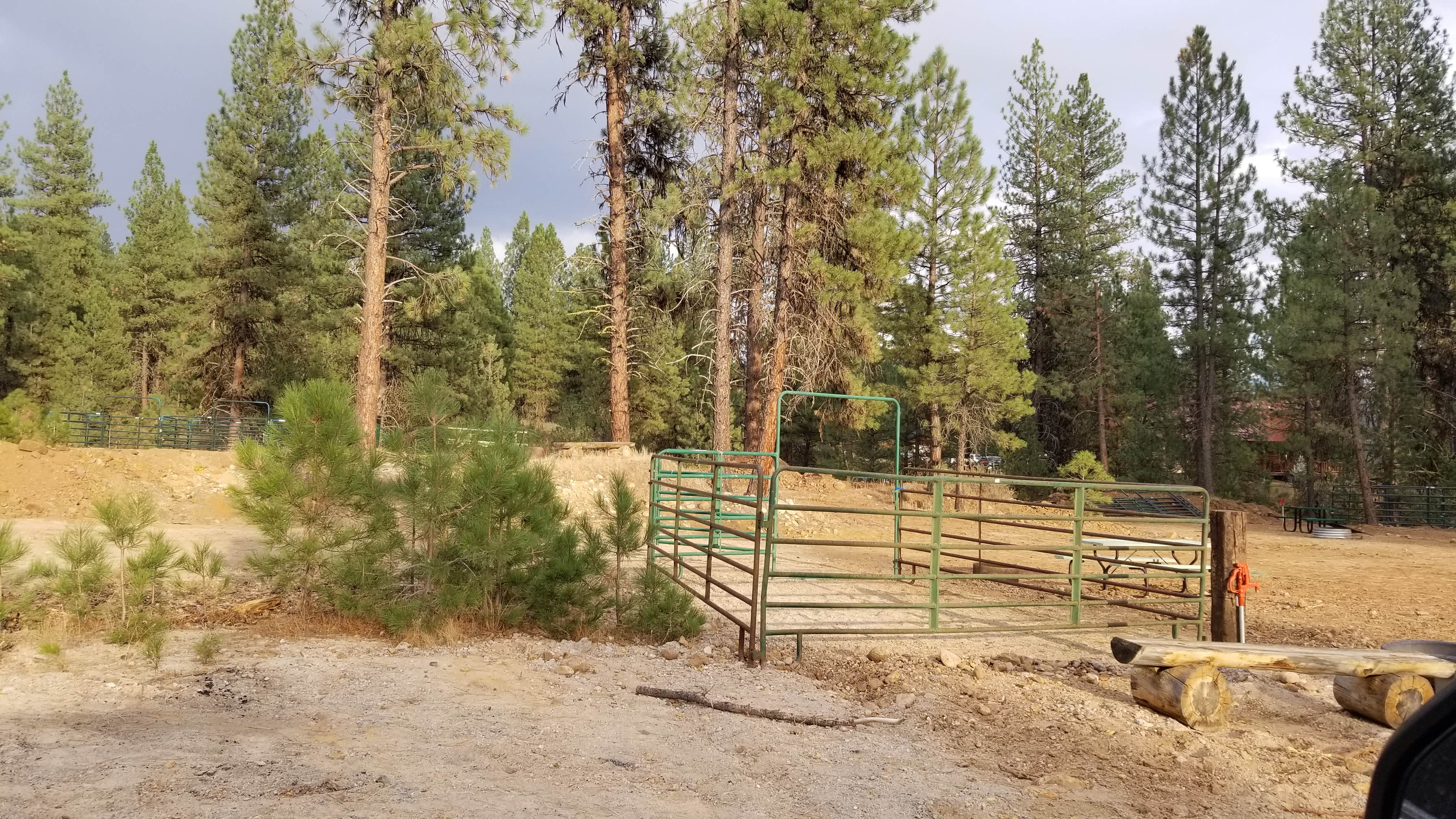Camper-submitted photo at Cowboy Campground near Idaho City, ID