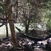 Review photo of Black Canyon Dispersed Camping by Nicci M., May 23, 2018