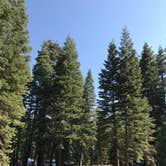 Review photo of Manzanita Lake Campground — Lassen Volcanic National Park by Alisha W., May 23, 2018