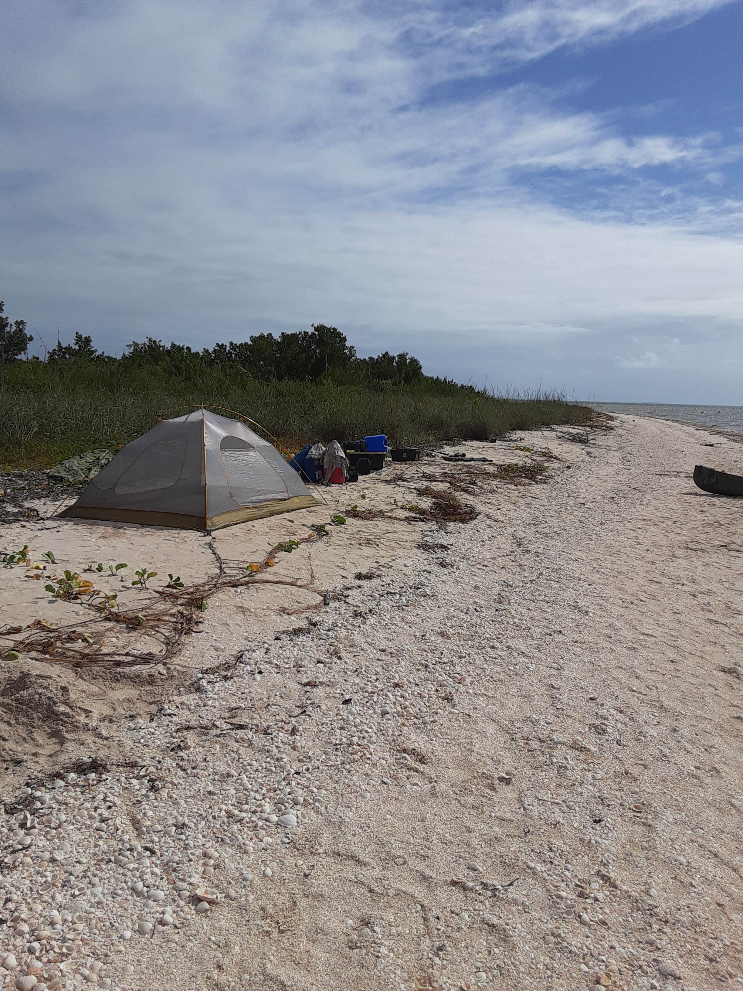 Camper submitted image from Backcountry Northwest Cape — Everglades National Park - 1