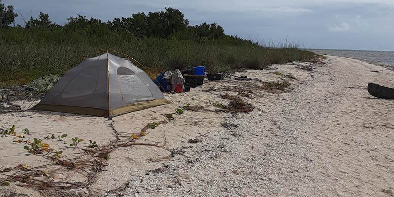 Camper submitted image from Backcountry Northwest Cape — Everglades National Park