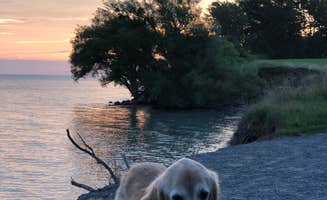 Loni W.'s photo of camping with pets at Four Mile Creek State Park Campground near North Tonawanda, NY