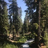 Review photo of Manzanita Lake Campground — Lassen Volcanic National Park by Alisha W., May 23, 2018