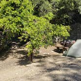 Review photo of Mount Lowe Trail Campground by Stacy C., November 15, 2020