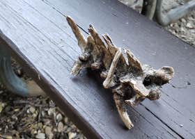 Mount Lowe Trail Campground