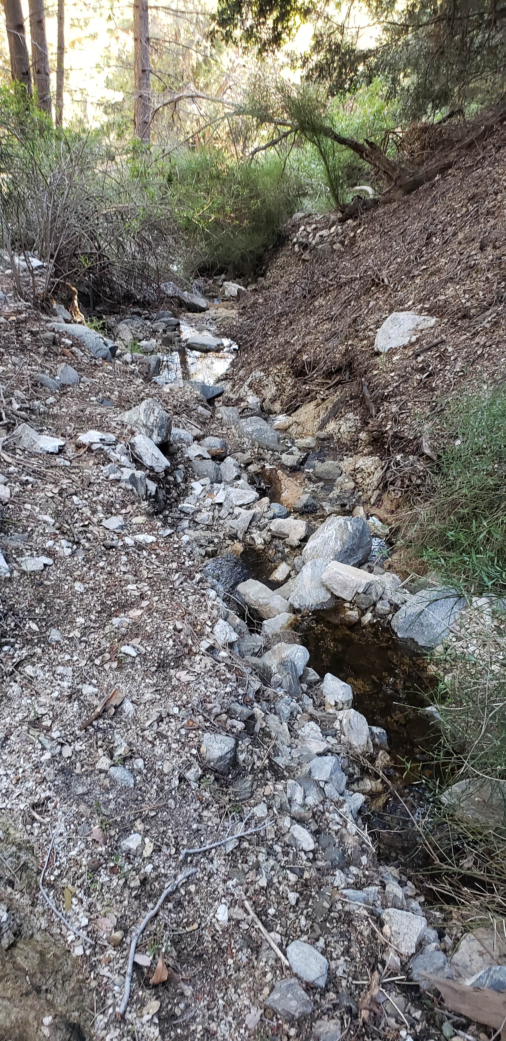 Camper-submitted photo at Mount Lowe Trail Campground near Azusa, CA