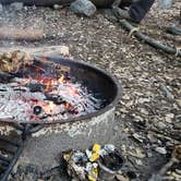 Review photo of West Fork Trail Campground - Temporarily Closed by Stacy C., November 15, 2020