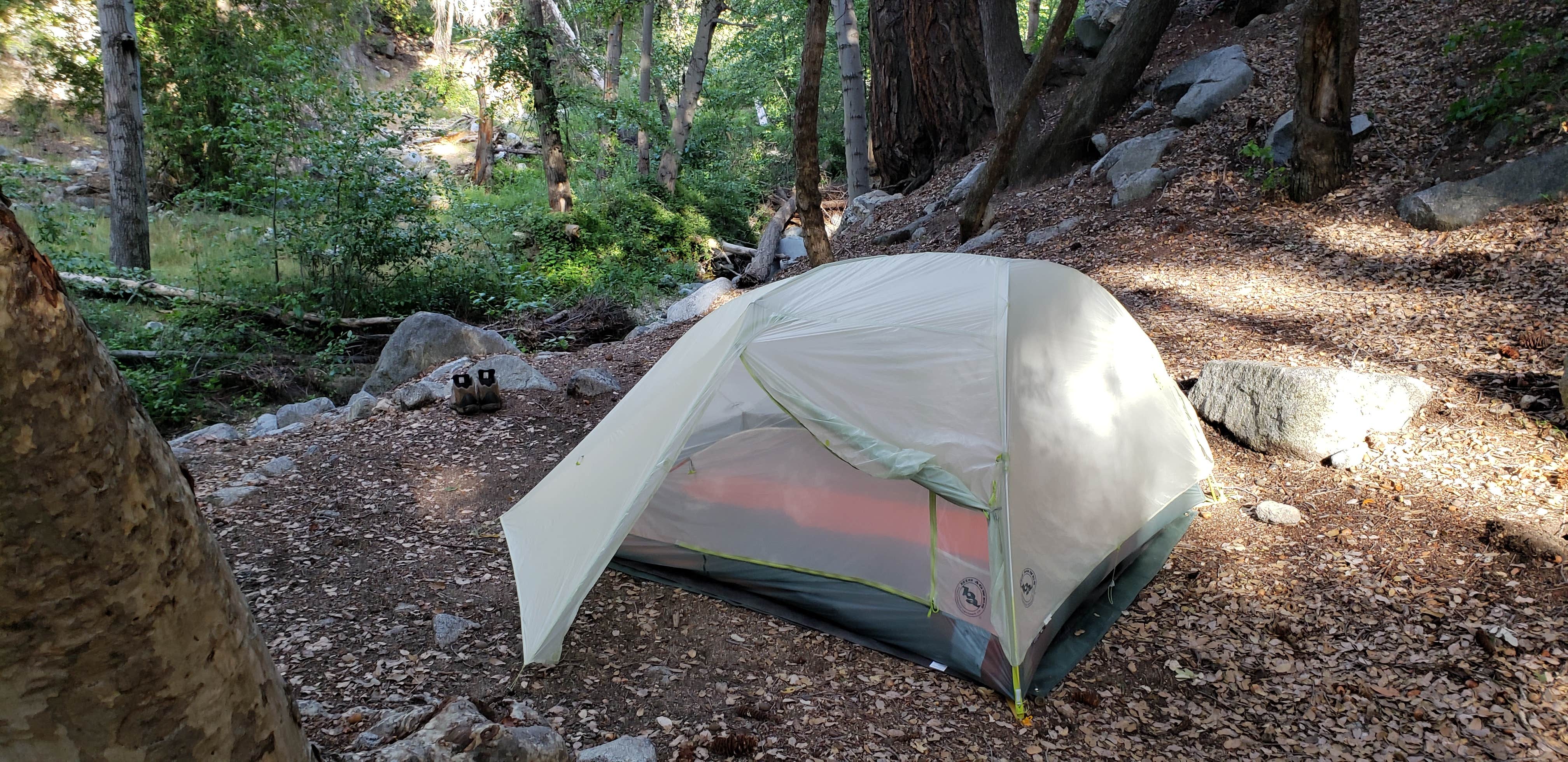 Camper submitted image from West Fork Trail Campground - Temporarily Closed - 3