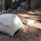 Review photo of West Fork Trail Campground - Temporarily Closed by Stacy C., November 15, 2020