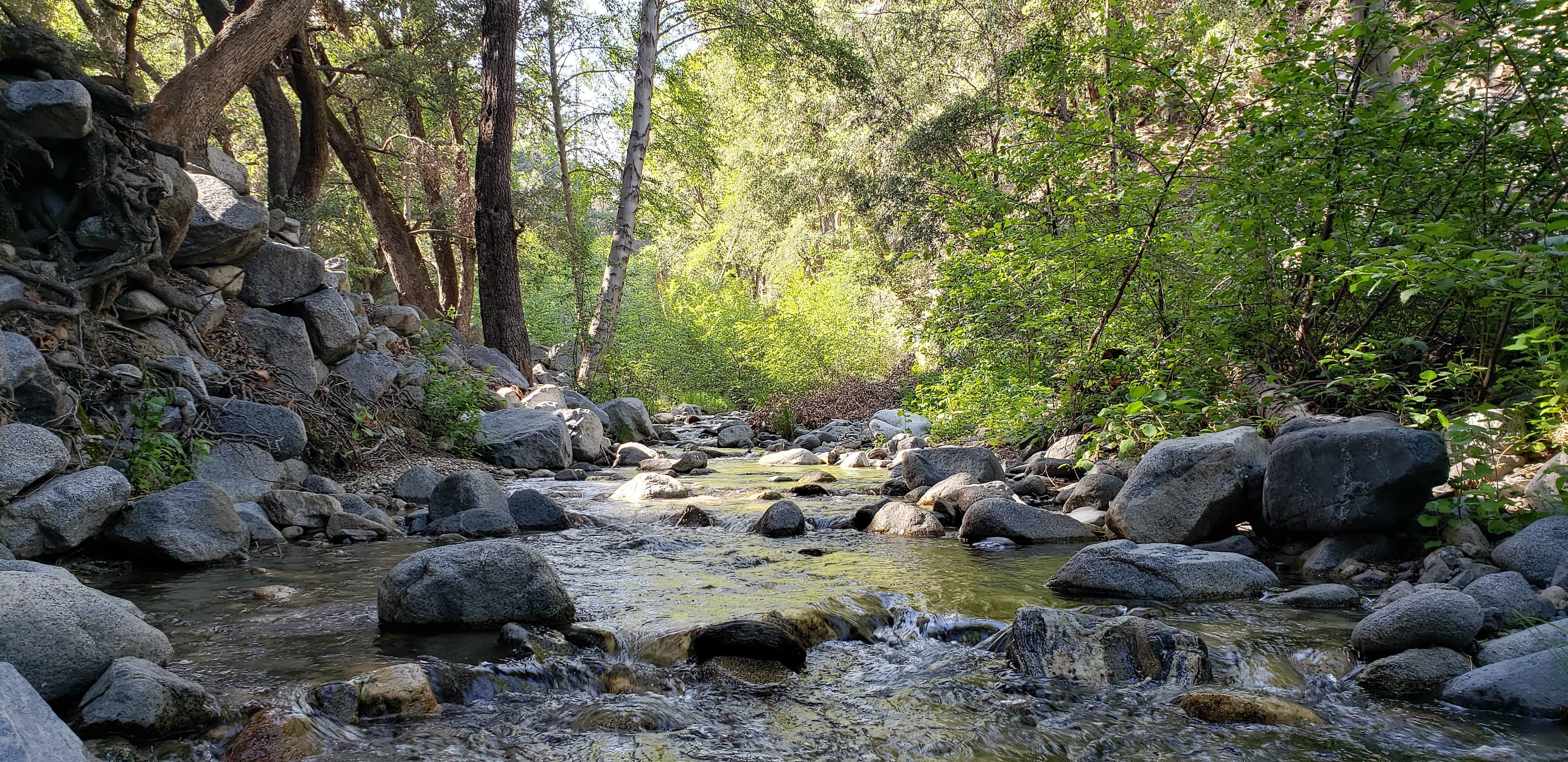 Escape to Serenity: West Fork Campground, Georgia