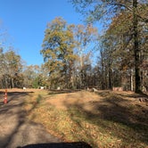Review photo of Clear Creek (MS) by Steve G., November 15, 2020