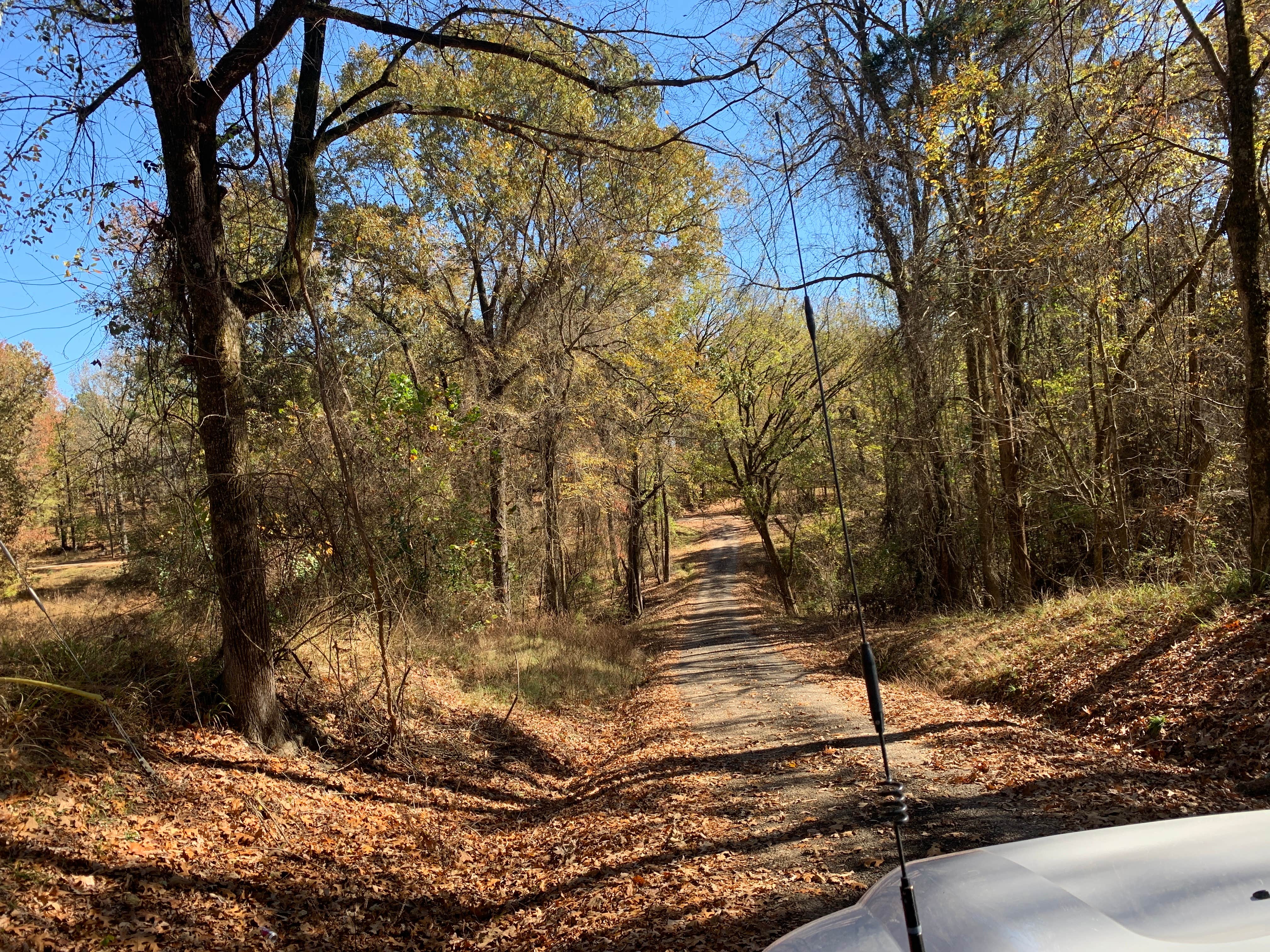 Camper-submitted photo at Hays Crossing near Lake Cormorant, MS