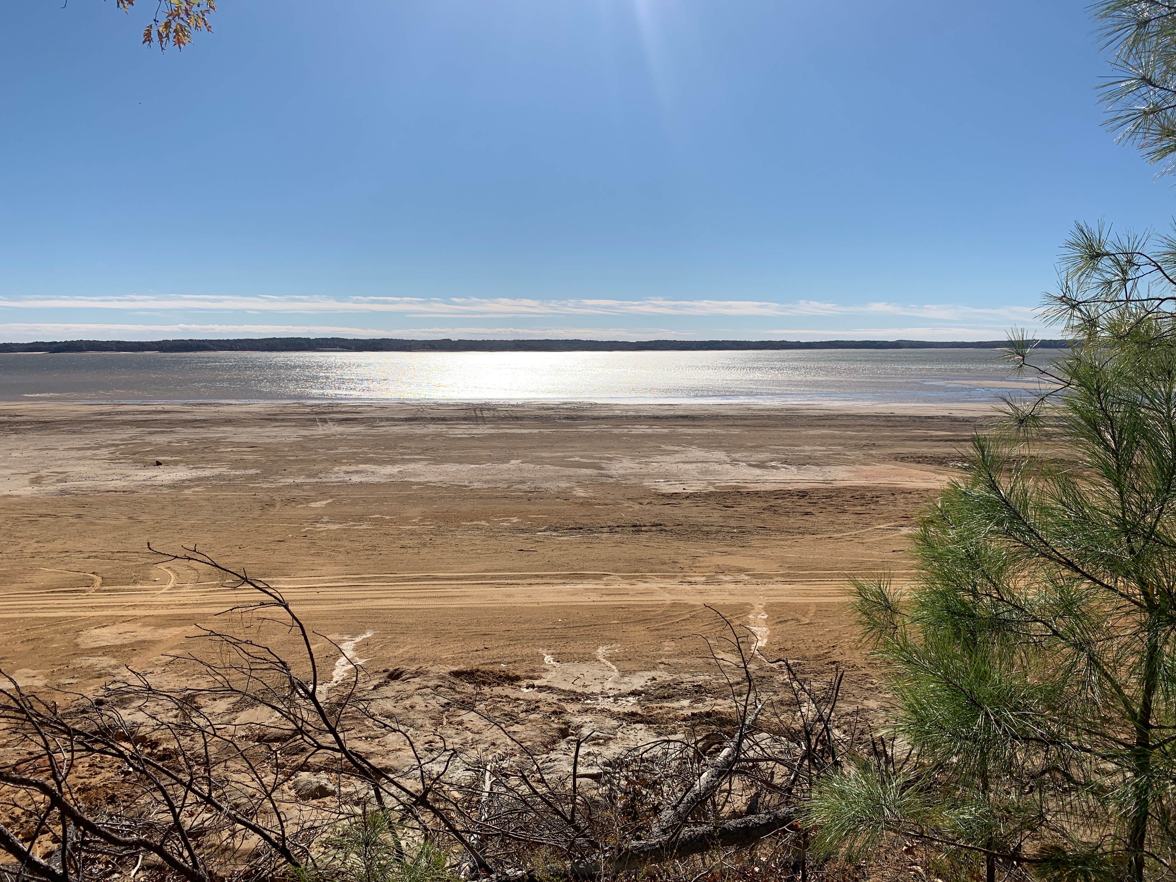 Camper-submitted photo at Hays Crossing near Lake Cormorant, MS