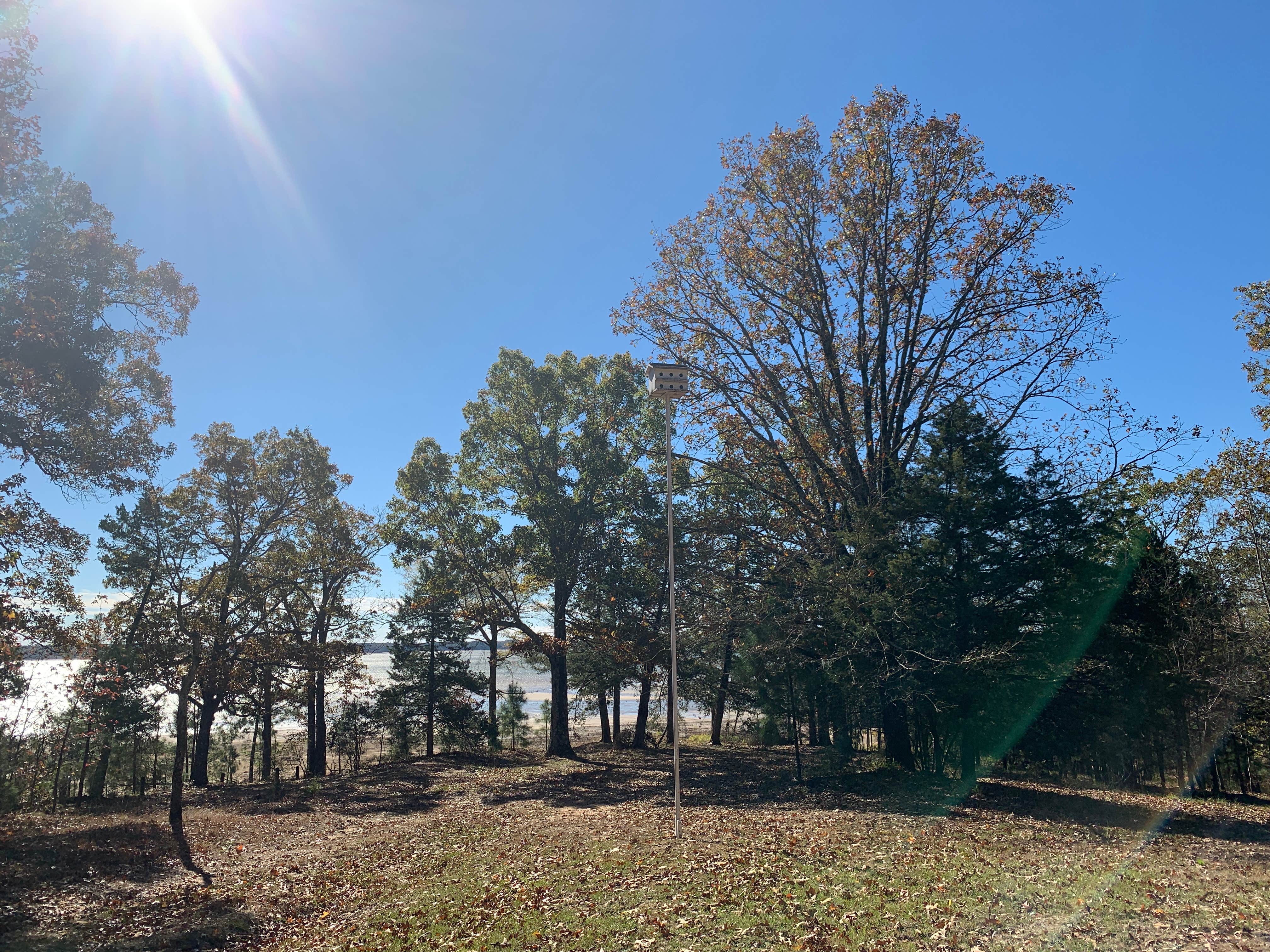 Camper-submitted photo at Hays Crossing near Lake Cormorant, MS